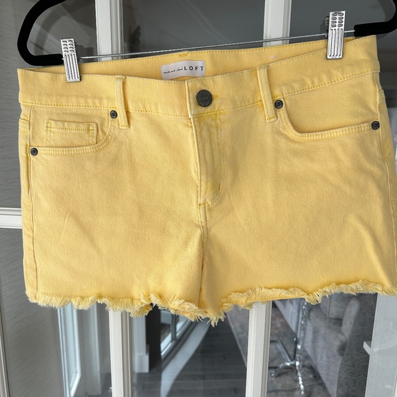 LOFT Pants - Loft Shorts
